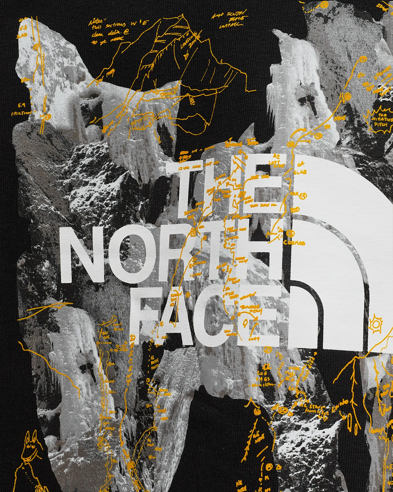 The North Face Heavyweight 1/4 Zip