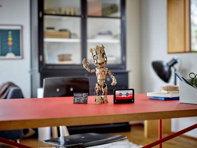 LEGO Ik ben Groot (76217)