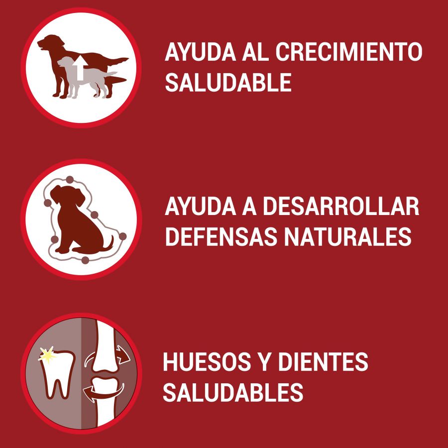 Ração para cães Purina One Junior Bifensis sabor frango