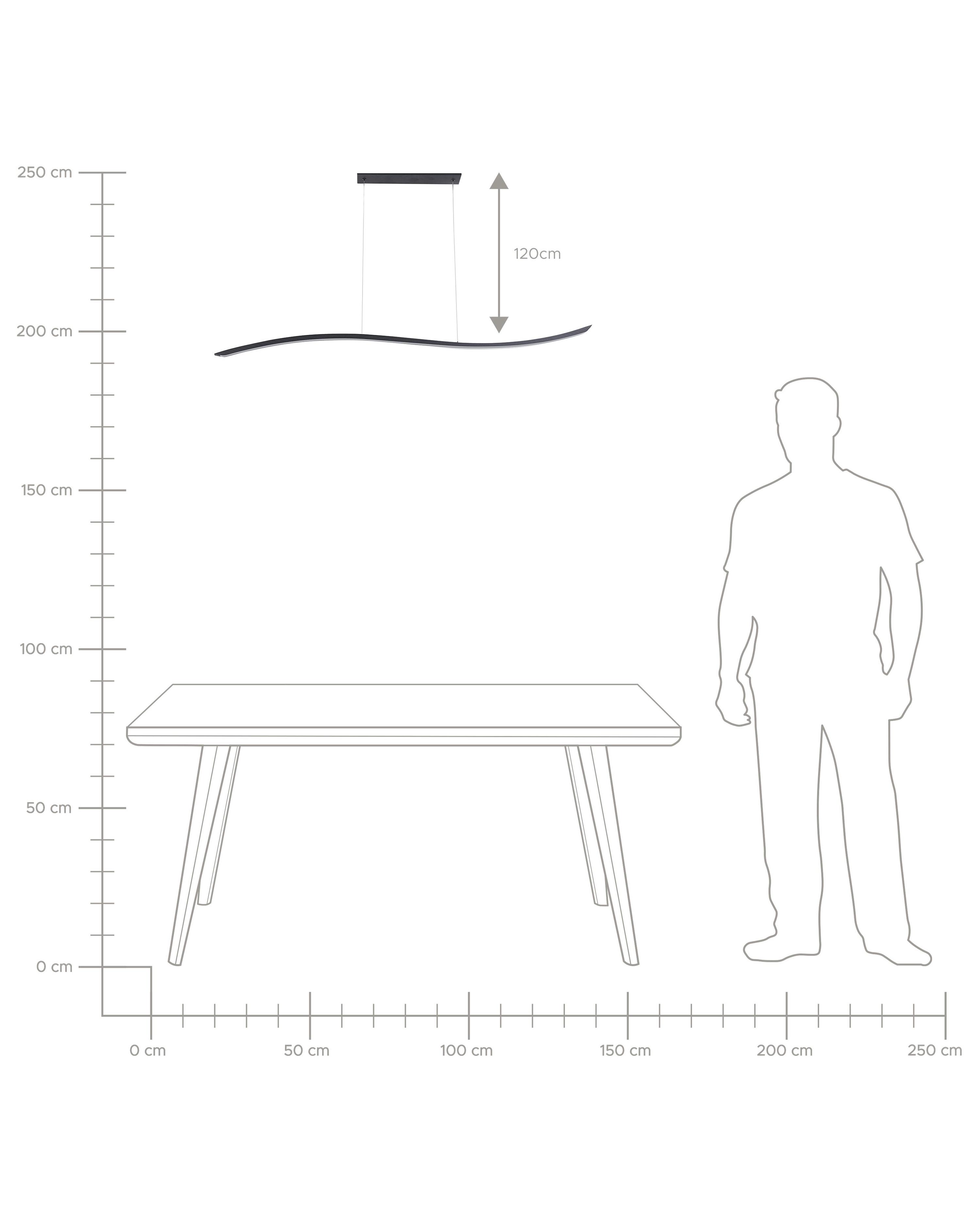 LED hanglamp CALAO Metaal Zwart