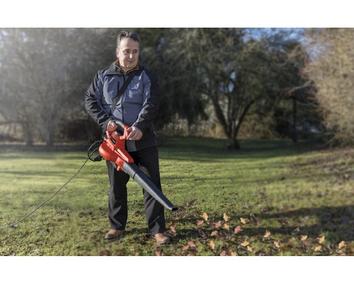 EINHELL GC-EL 3000 E elektrische bladzuiger/blazer