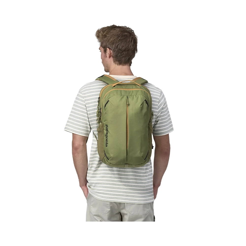 Patagonia Refugio Day Pack Rucksack