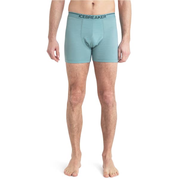 Boxer ICEBREAKER M ANATOMICA BOXERS CLOUD RAY