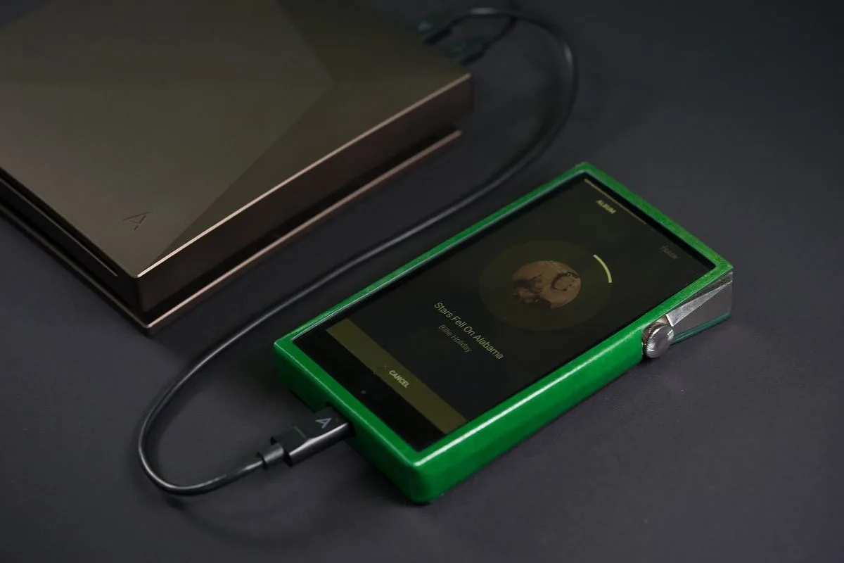 Astell&Kern PEE12 Câbles USB