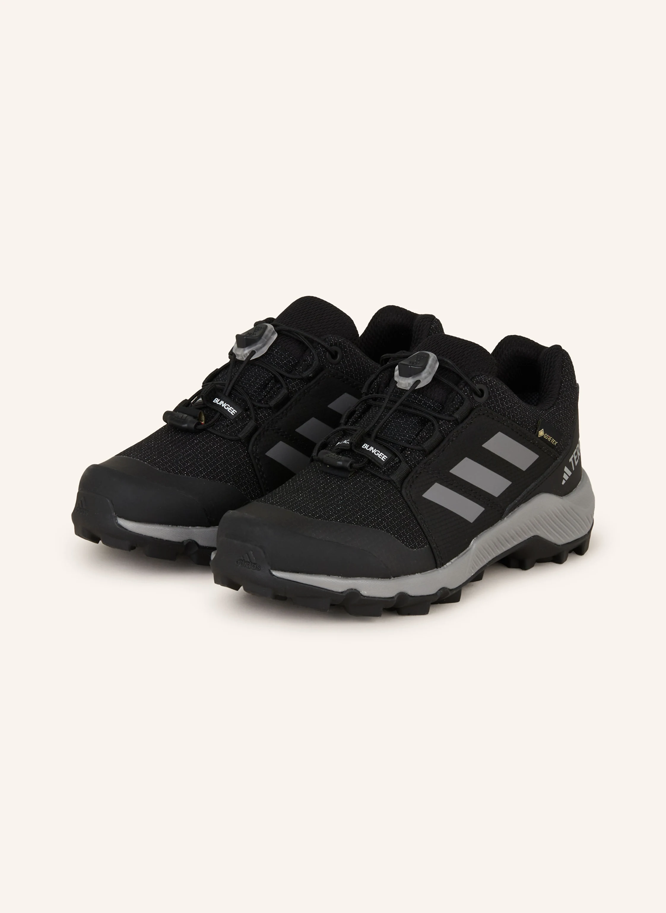 adidas TERREX Wanderschuhe TERREX GTX