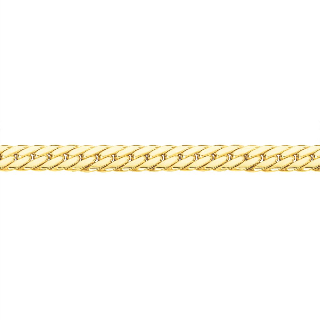 Collier Synda Maille Anglaise Or Jaune
