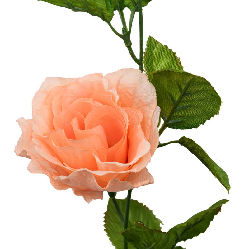 Guirlande de roses