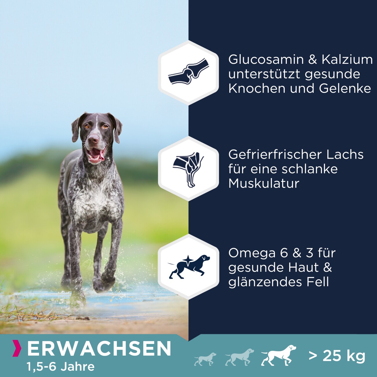 EUKANUBA Trockenfutter Hund Large Breed Adult, getreidefrei mit Fisch 3 kg