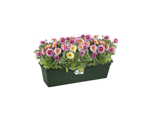 Elho Green Basics balkonbak, L 40 cm, kunststof, groen
