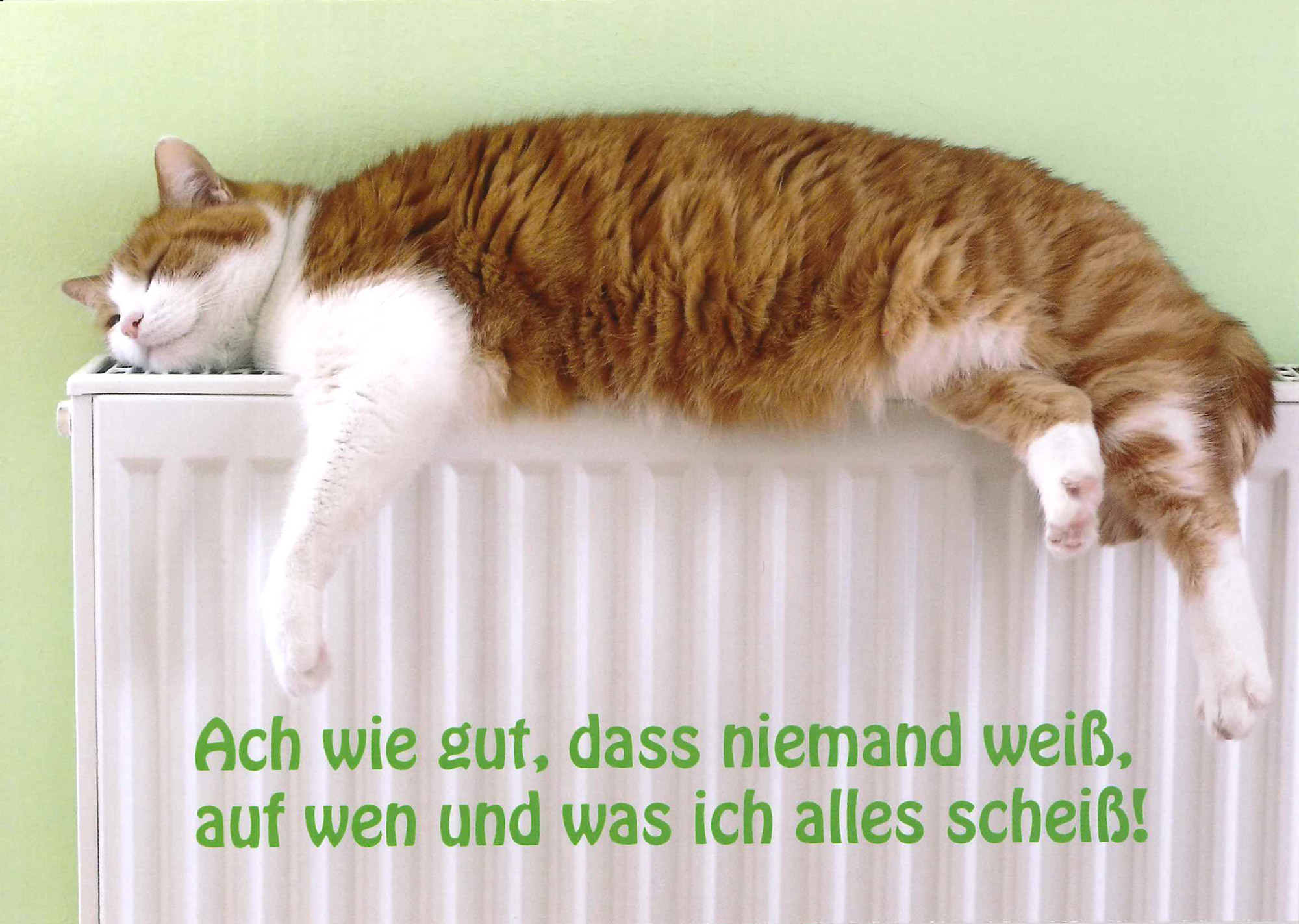 Postkarte 'Ach wie gut' günstig bestellen