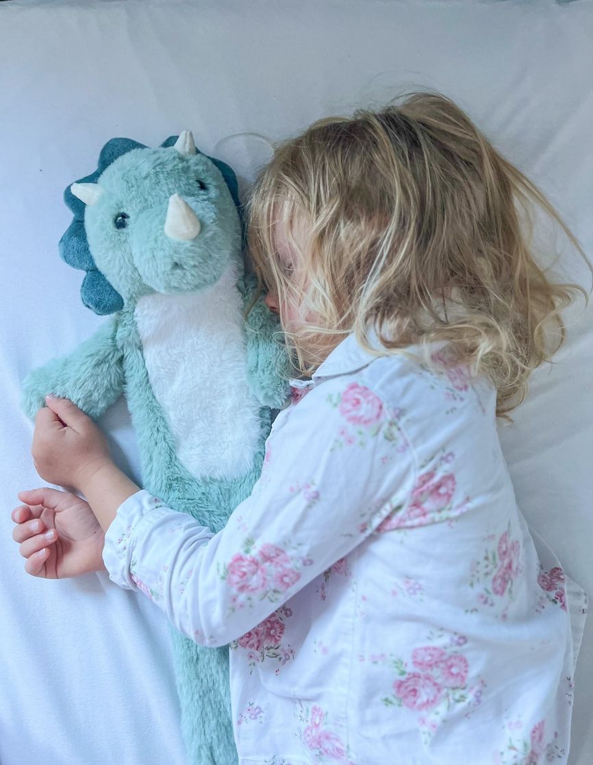 Aroma Home Kids varmeflaske dinosaur