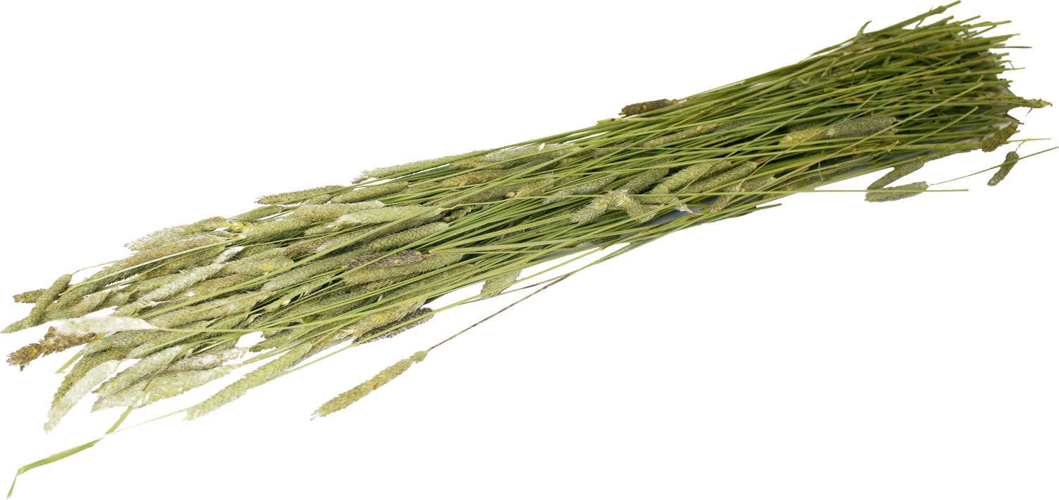 JR Farm Timothee-oogst 80 g