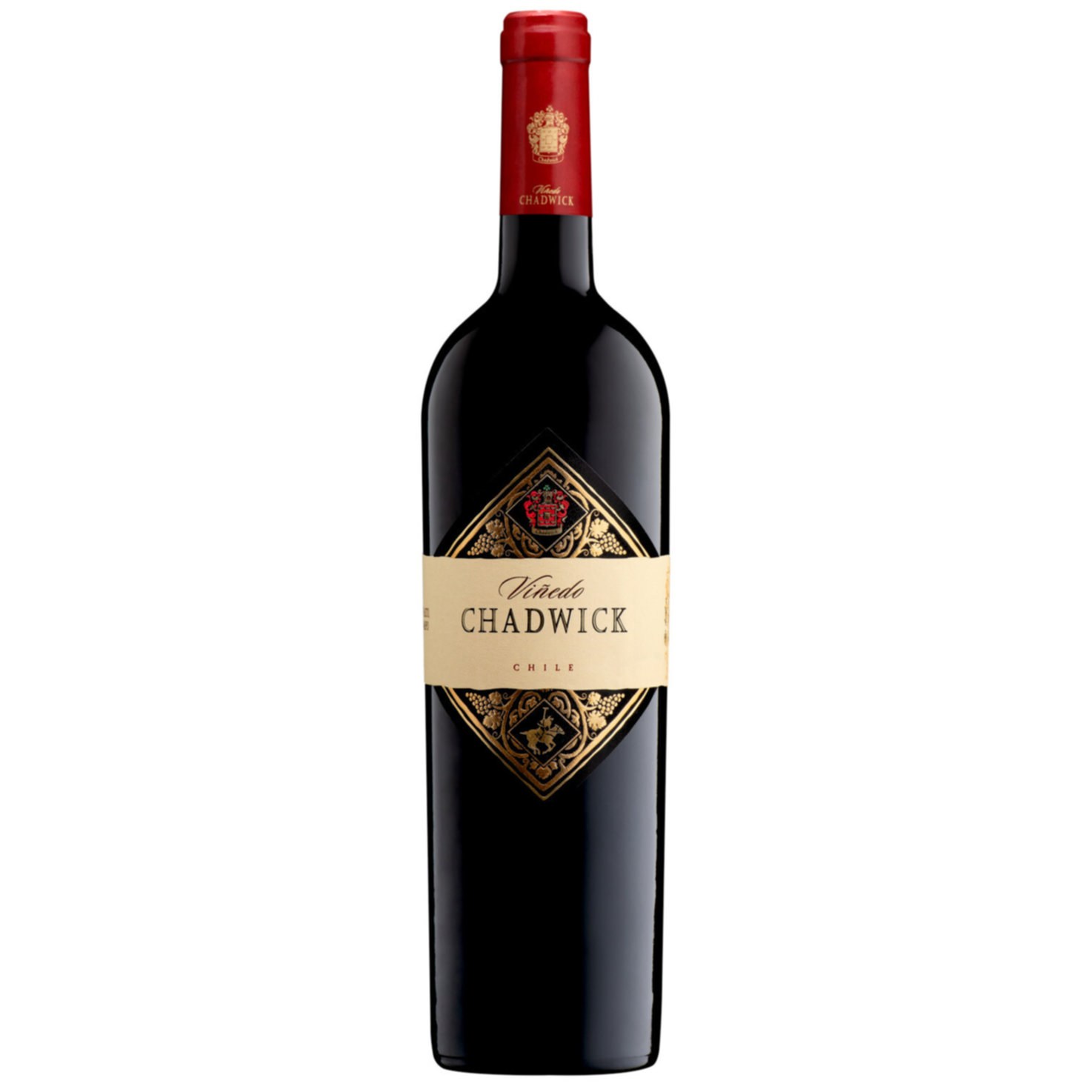 Viñedo Chadwick Maipo Valley -75cl