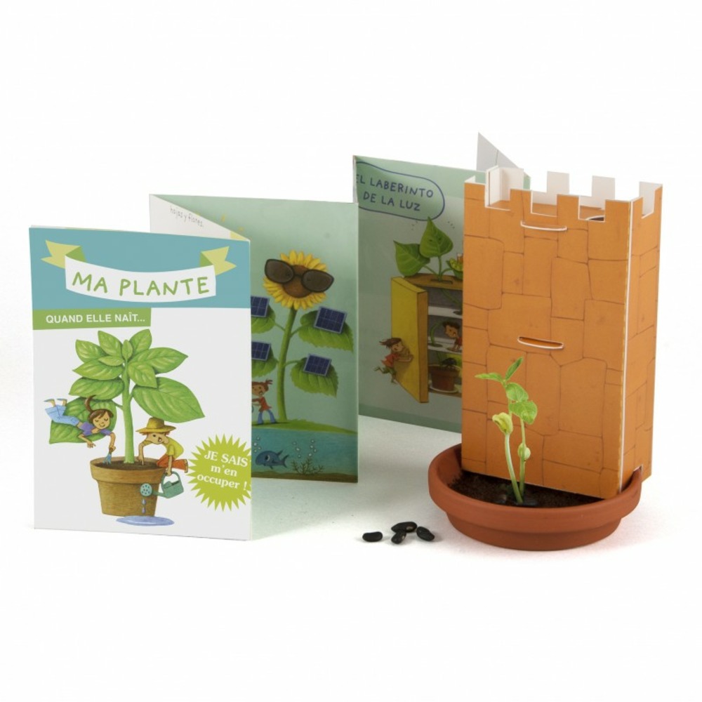 Coffret : le miracle de la germination