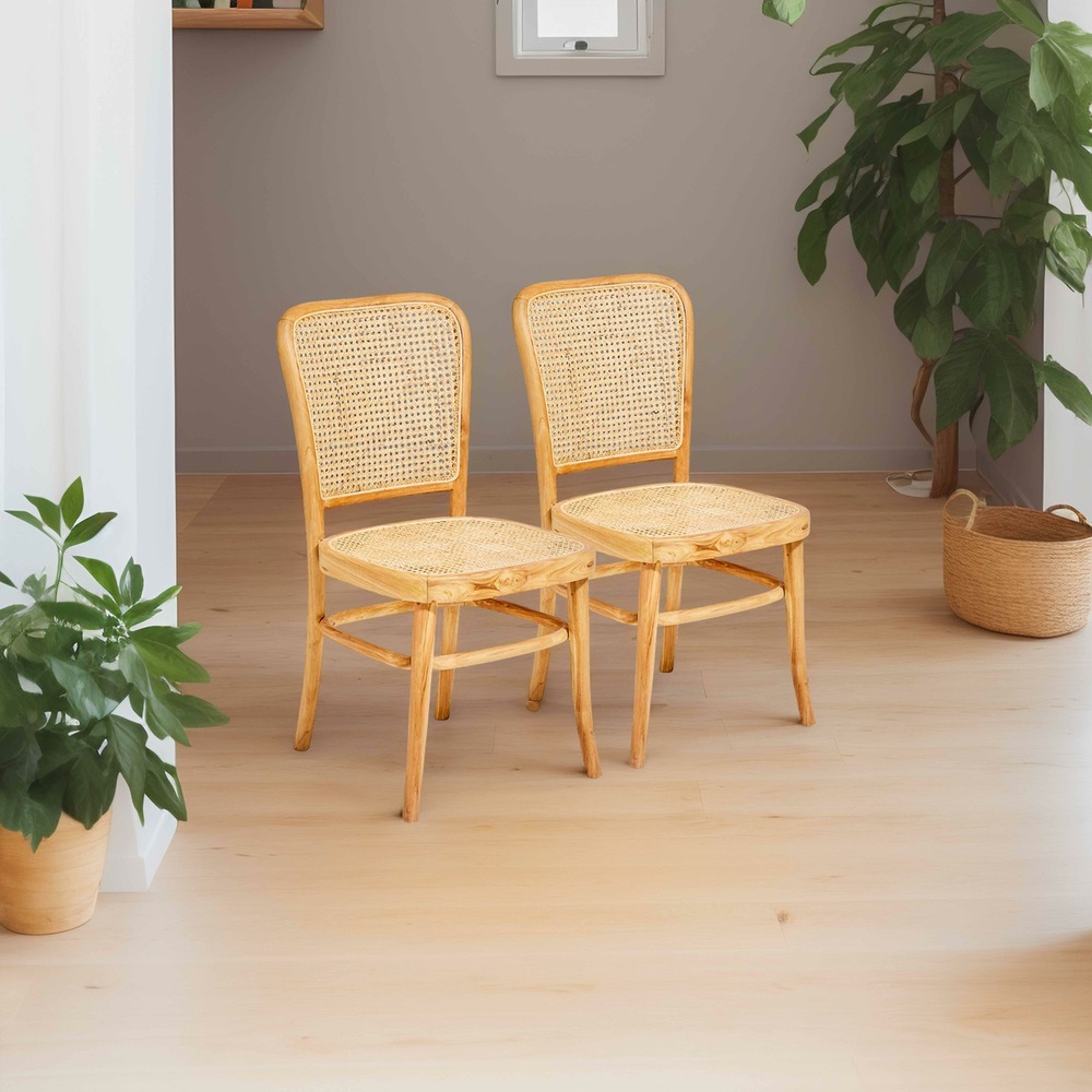 Lot de 2 chaises en rotin naturel et teck massif