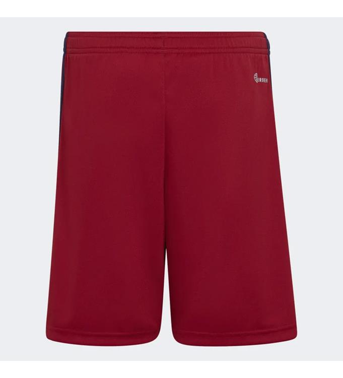adidas Men Ajax Uitshort 2022/2023