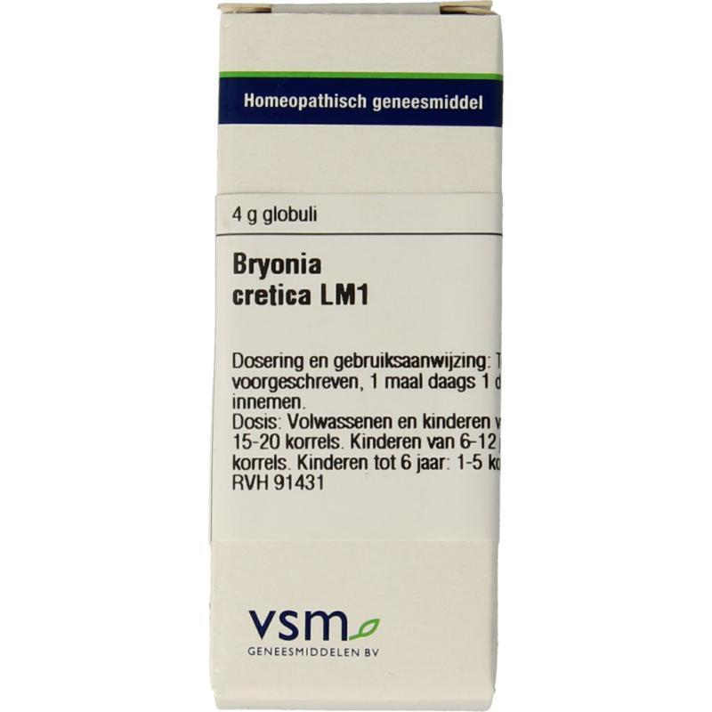 VSM Bryonia Cretica LM1 4 G