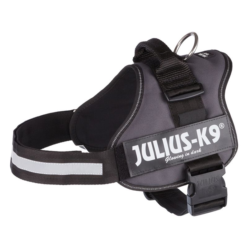 Harnais Julius-K9 Power, anthracite