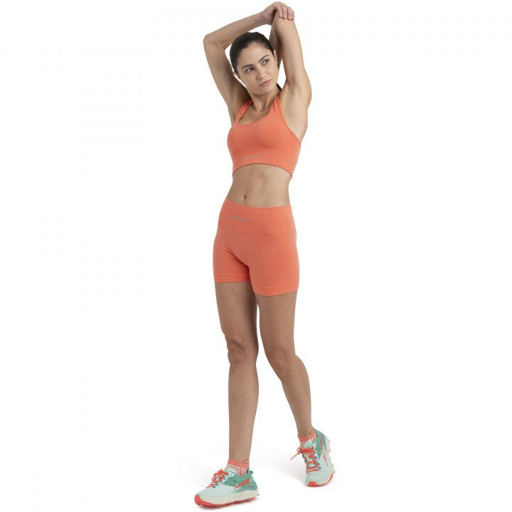 Icebreaker 260 ZoneKnit Seamless Bra W's