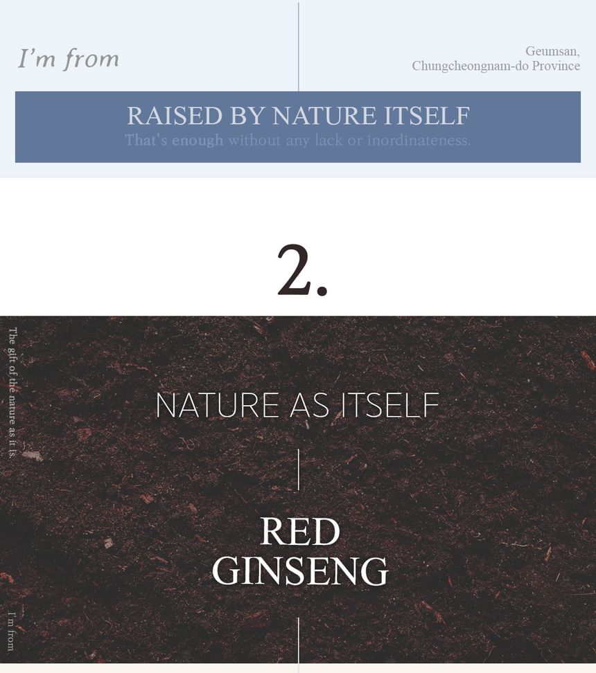 Ik kom uit - Ginseng Serum