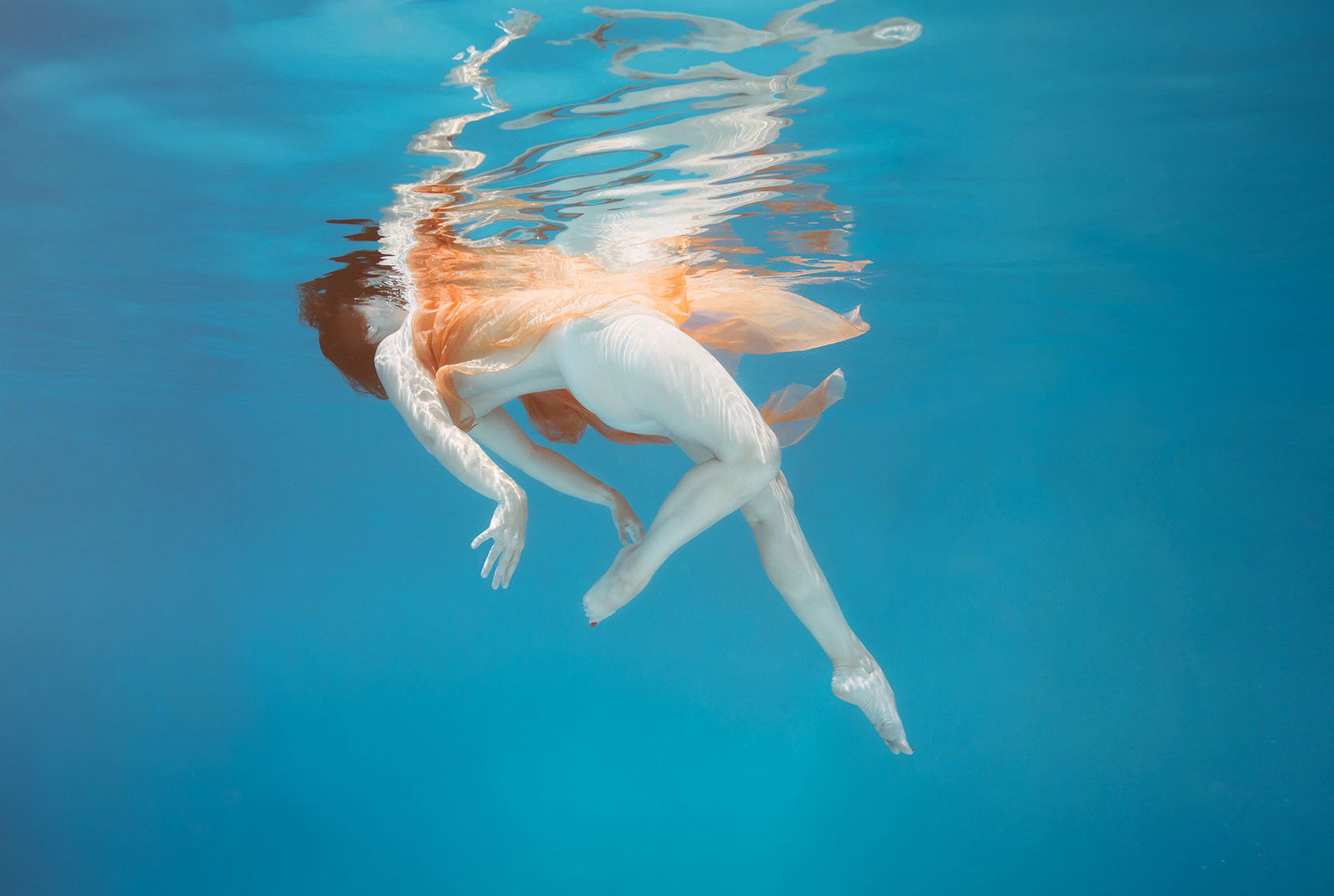 Flourish by Mallory Morrison - Limited Edition. Edition of: 150. Signed.