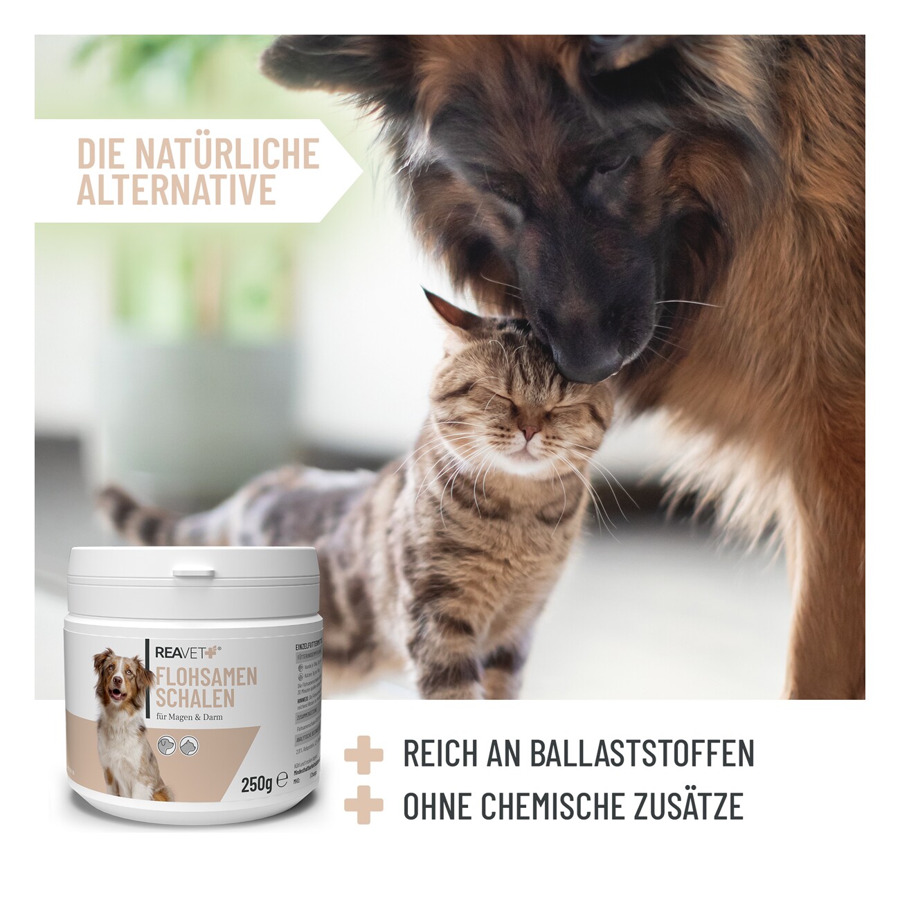 REAVET Flohsamenschalen 250g