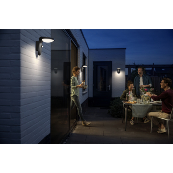 Philips wandlamp buiten Tyla 2700K 9W