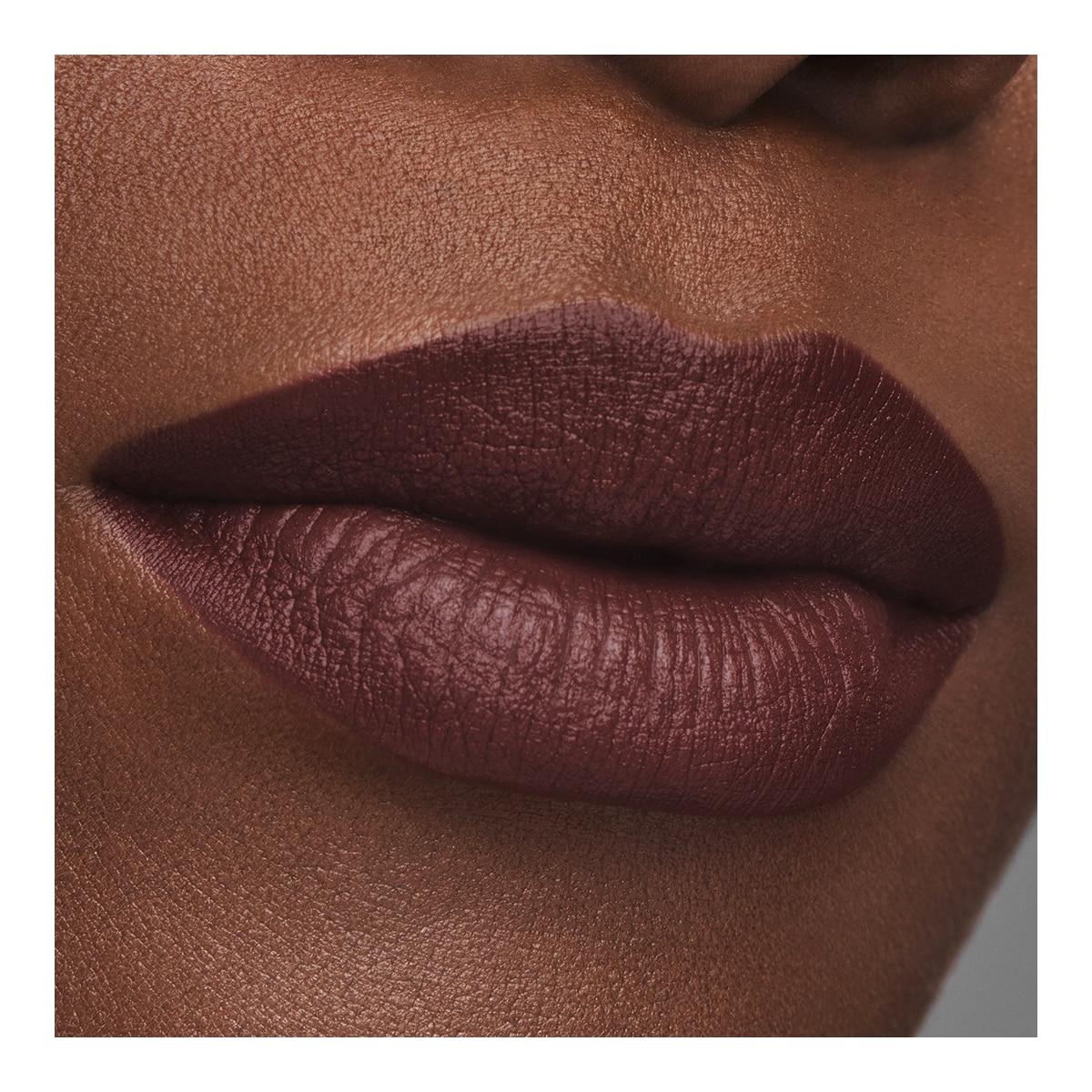 ESTEE LAUDER Pure Color Rouge à Lèvres Mat