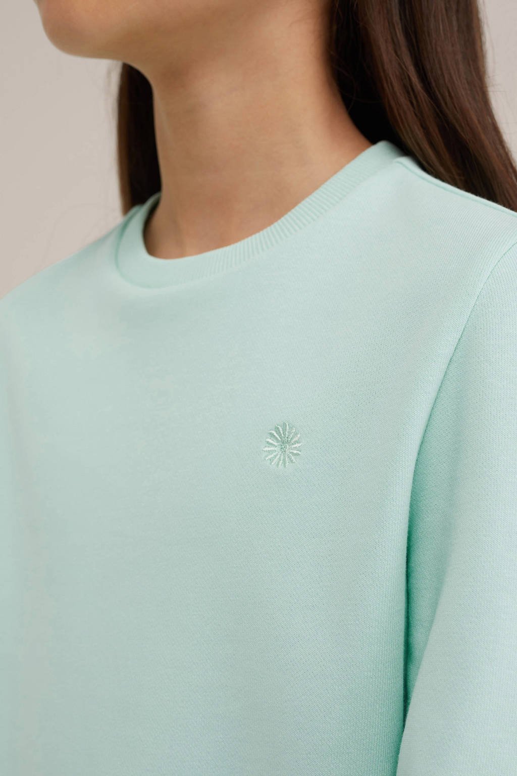 WE Fashion sweater mintgroen