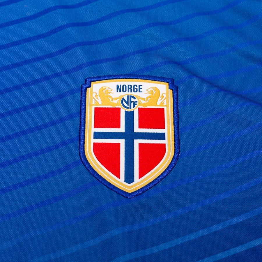 Norvège T-shirt d'Entraînement Dri-FIT Academy Pro Avant-Match - Bleu Royal/Blanc