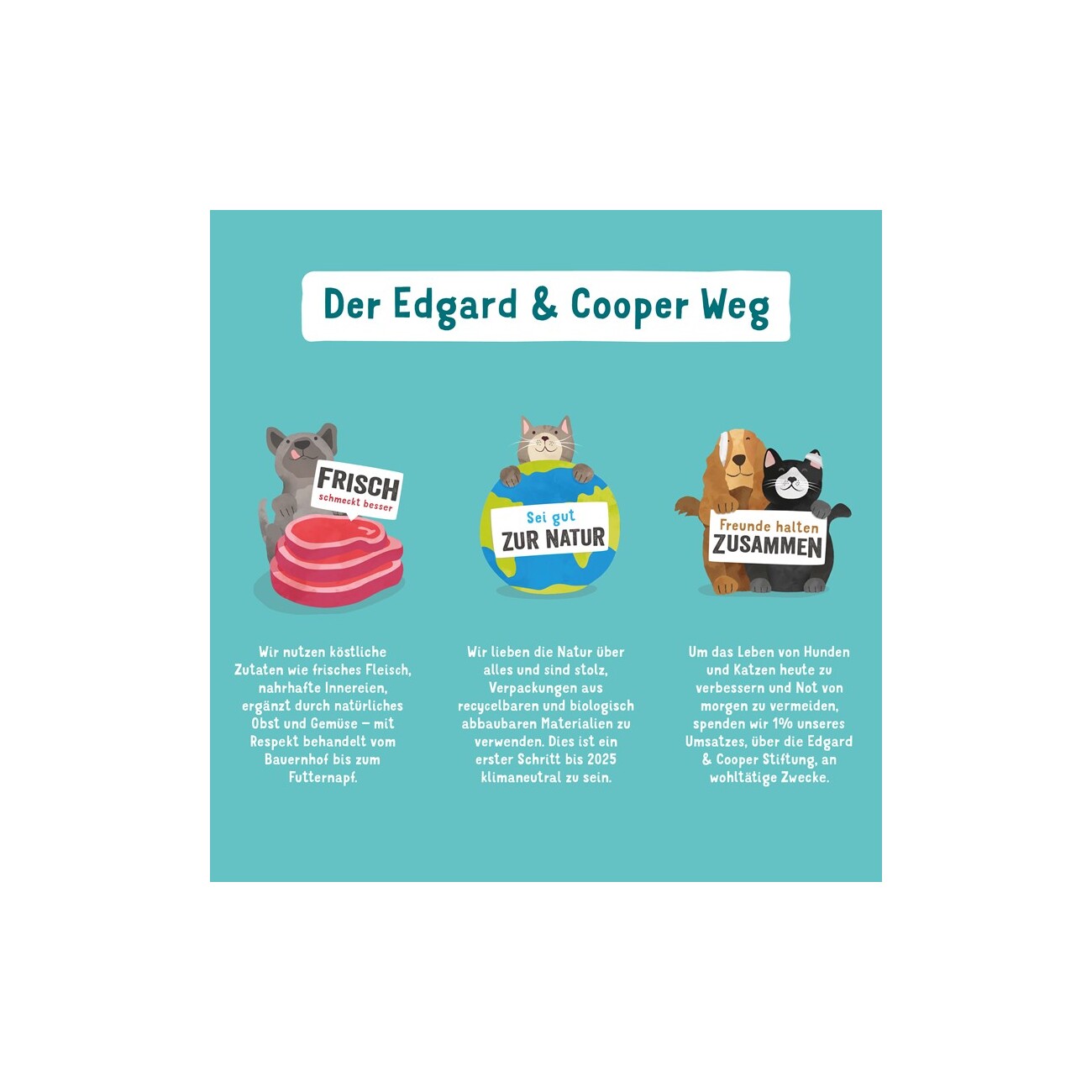 Edgard & Cooper Senior Huhn & ASC Lachs 6x400g