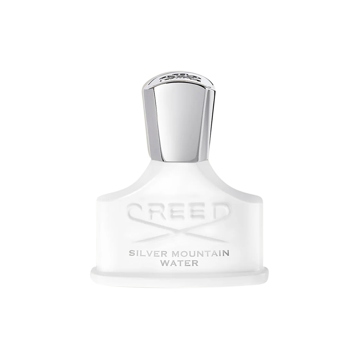 Silver Mountain Water Eau de Parfum 100ml
