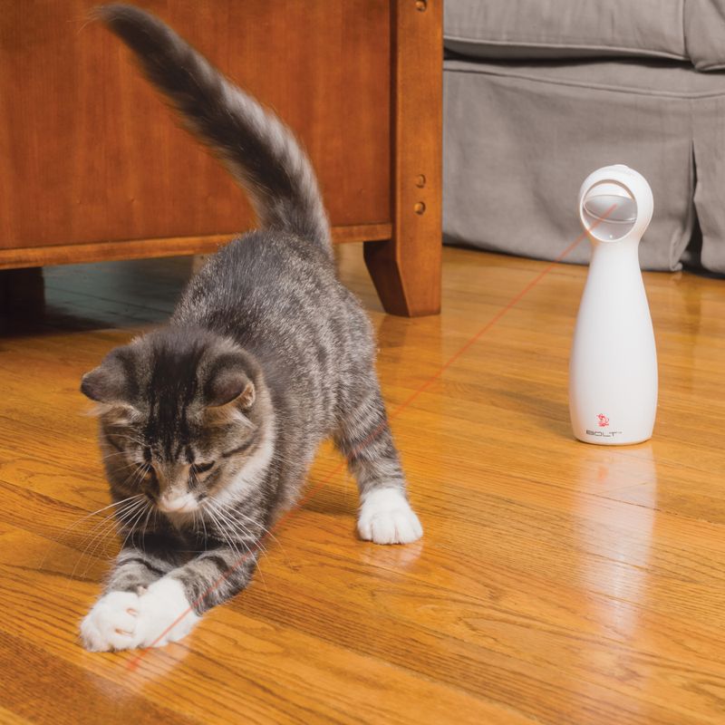 Jouet laser FroliCat Bolt Laser à prix discount sur bitiba.fr