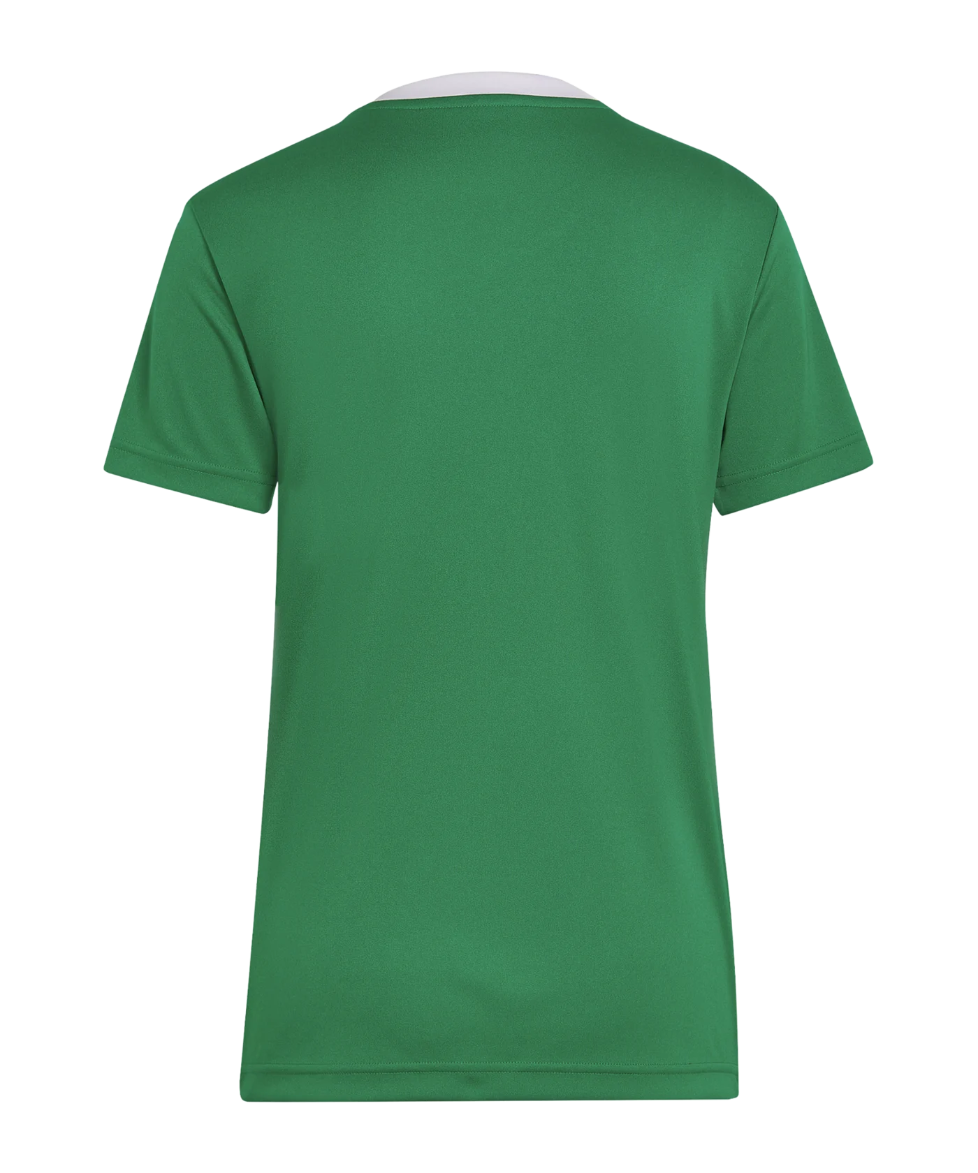 adidas Entrada 22 Trikot Damen Grün