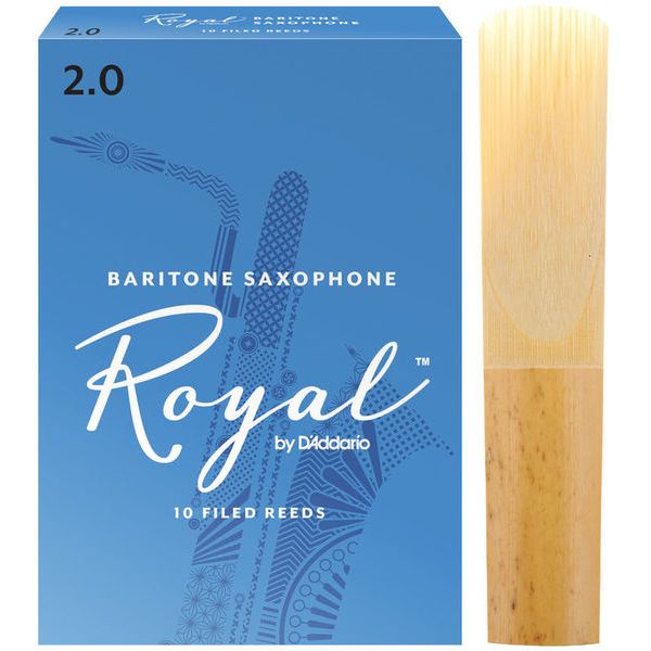 Daddario Woodwinds Royal Baritone Sax 2