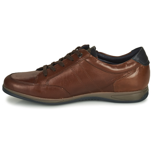 Fluchos - DANIEL - Marron
