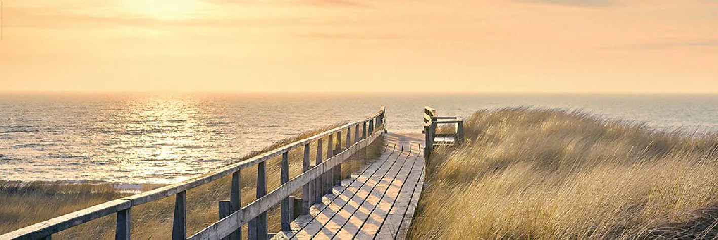 Poster Weg zum Strand, 53 x 158 cm