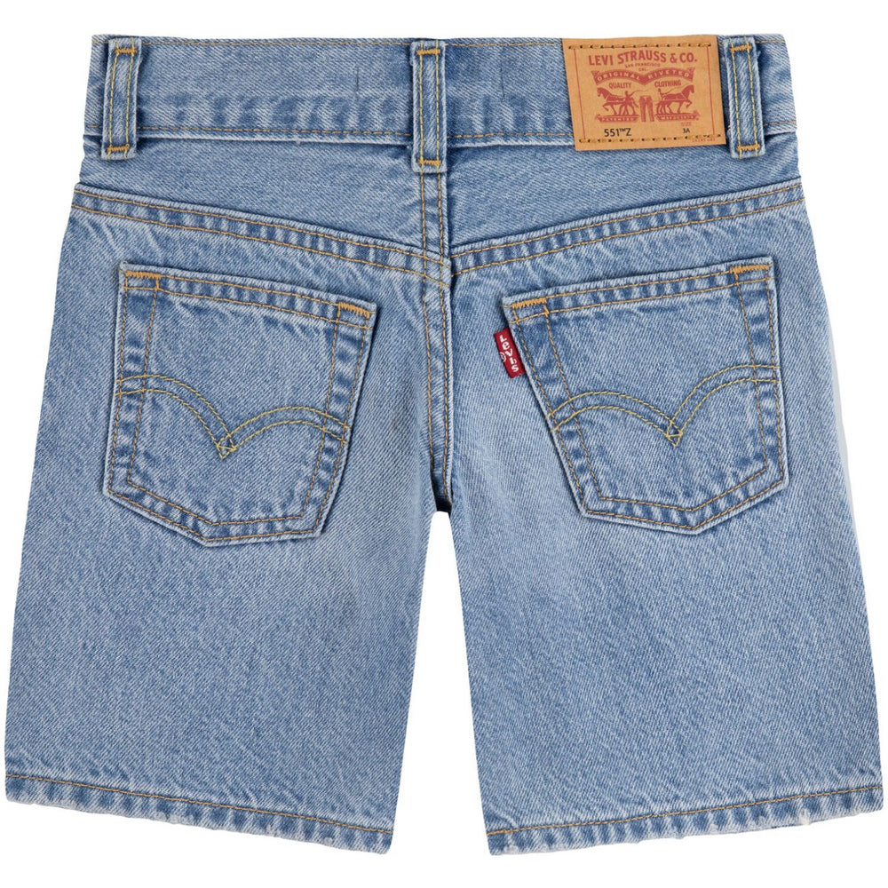 Køb Levi's From Scratch No Destruction Lvb Skate Shorts