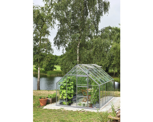 Kas Hallen Universeel 128 9,9 m² Helder glas 3 mm 257 x 384 cm Aluminium