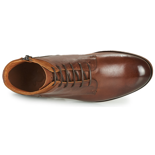 KOST - HOWARD 35 - Cognac