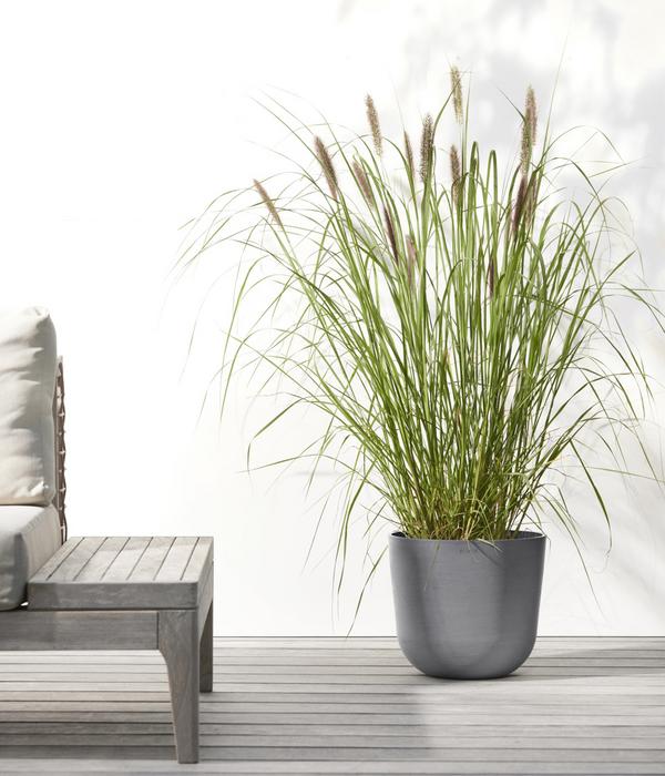 Ecopots Kunststoff-Topf Oslo mit Wassersystem,