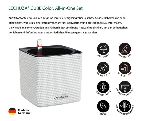 LECHUZA® CUBE Color, All-in-One Set