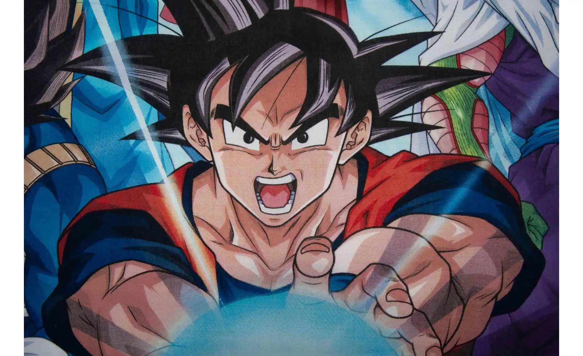 Bettwäsche-Set Dragonball