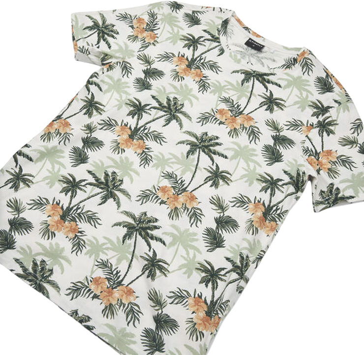 Firefly Havanna T-shirt Grøn