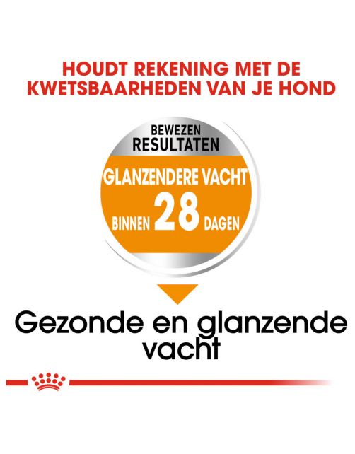 Royal Canin Coat Care Mini - Hondenvoer