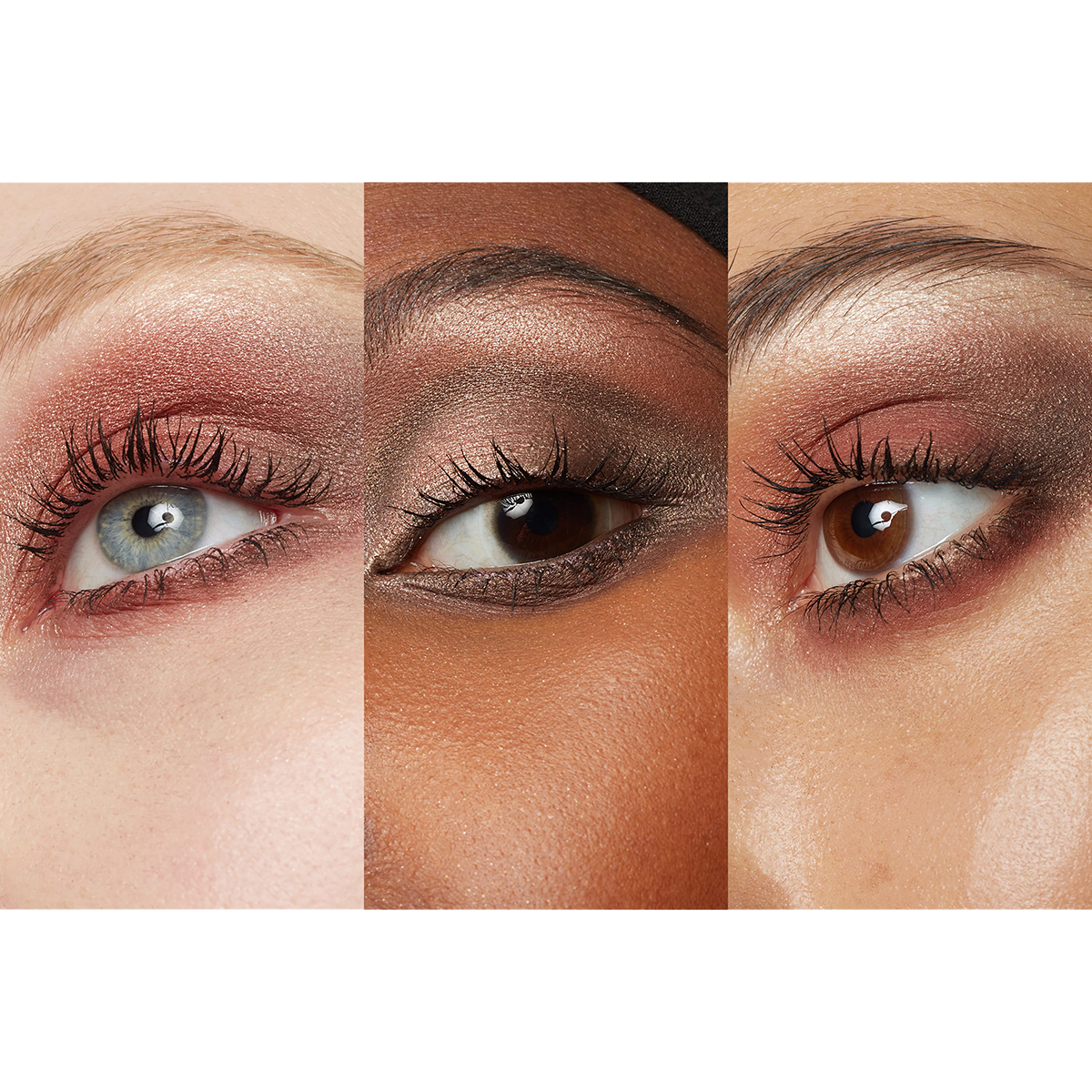 Eyeshadow 5 Colours Corporate Colours