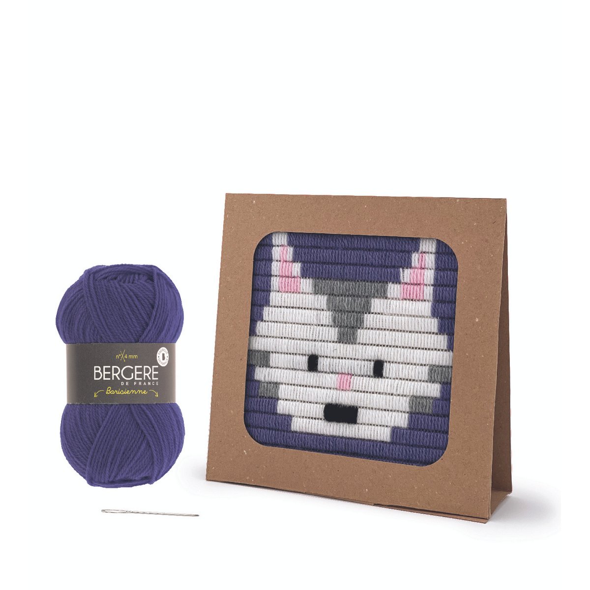 Canevas de Chat avec cadre