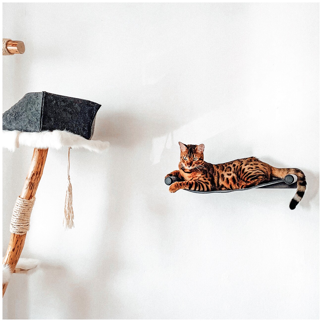 Canadian Cat Company Filz-Hängematte für die Wand