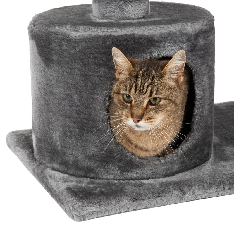 Arbre à chat Erebus