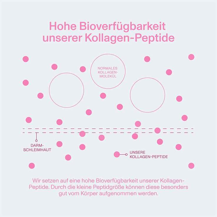 Vital Proteins Beauty Collagen Erdbeere Zitrone, 271 g